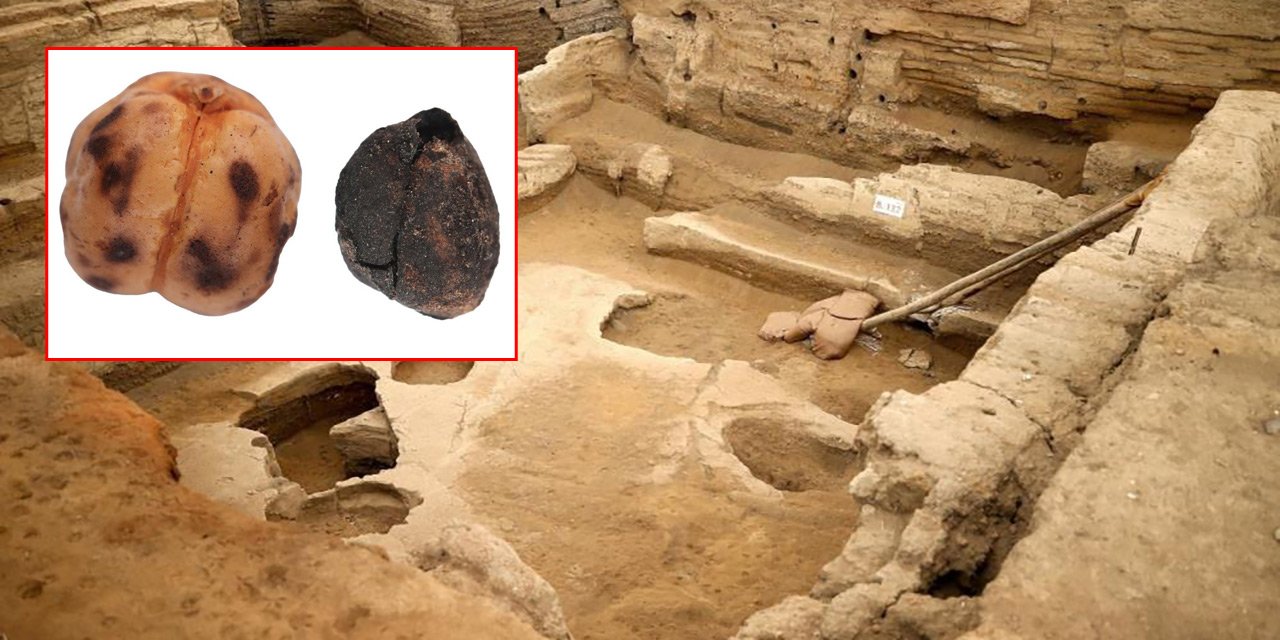 Konya’da 8 bin 600 yıllık ekmek bulundu