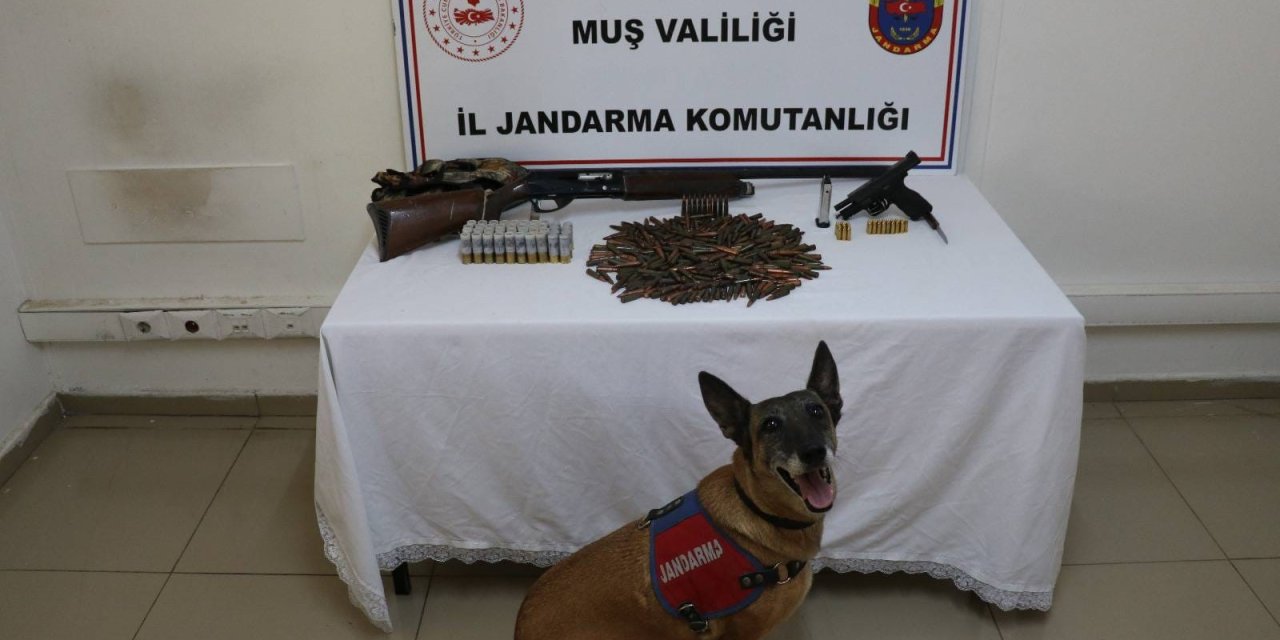 Tezek altına silah ve mühimmat sakladılar, jandarmadan kaçamadılar