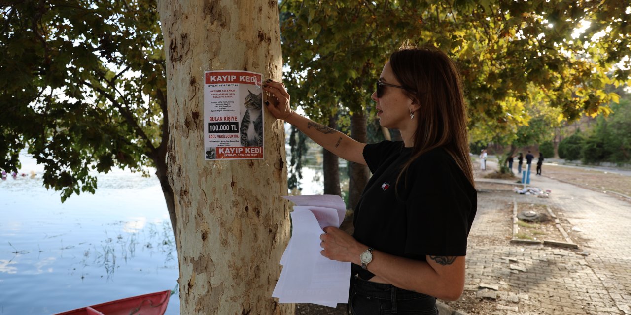Üç gündür arıyor, bulana 100 bin TL ödül verecek