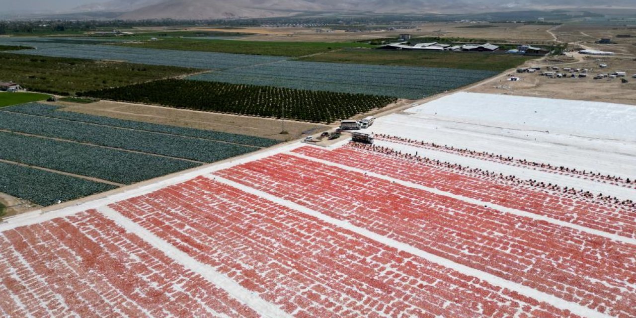Konya Ovasının eşsiz tadı dünya sofralarına lezzet katıyor
