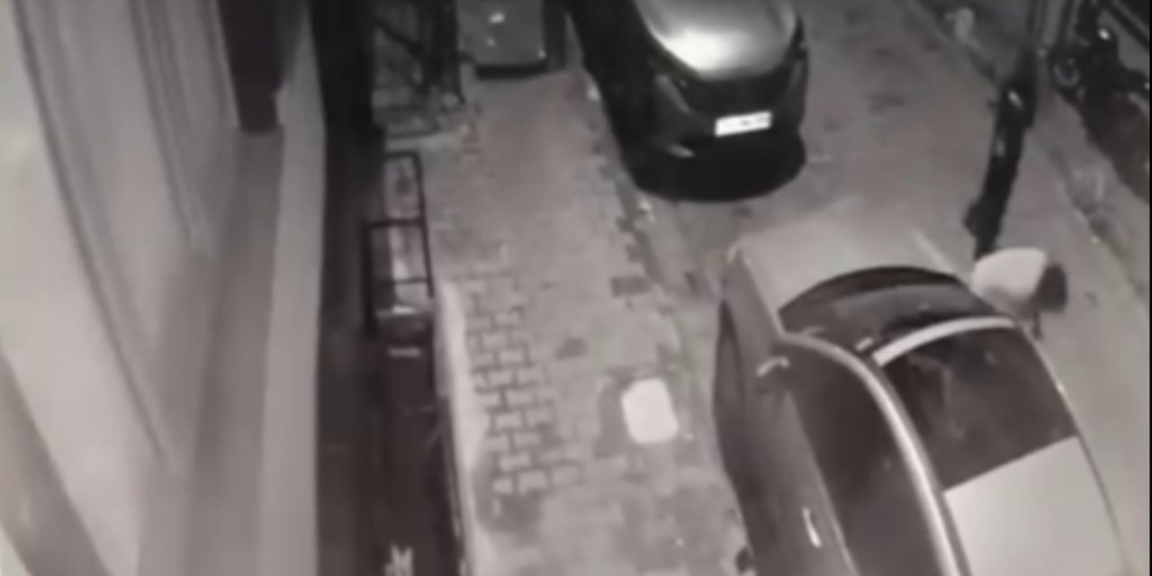 Park halindeki araçların aynalarını yumrukladı