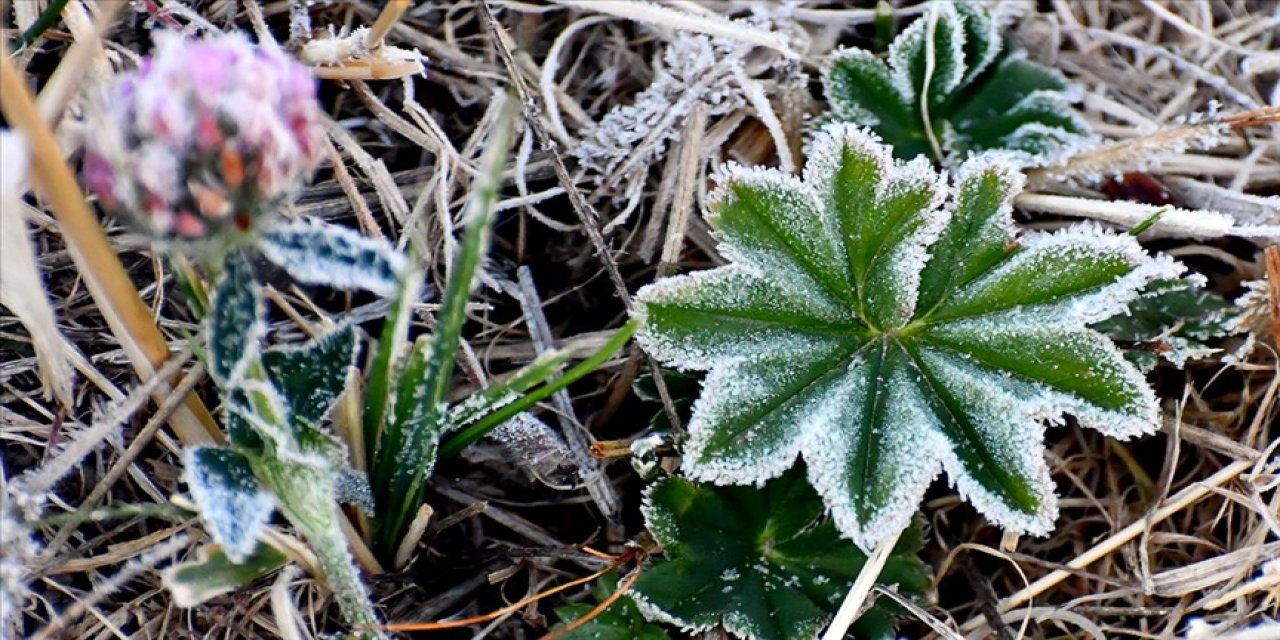 Konya’ya kış erken geldi, sıcaklıklar sıfırın altına düştü