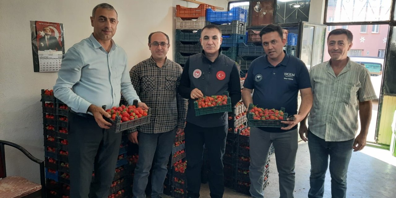 Konya’nın AB tescilli Hüyük Çileği emin ellerde