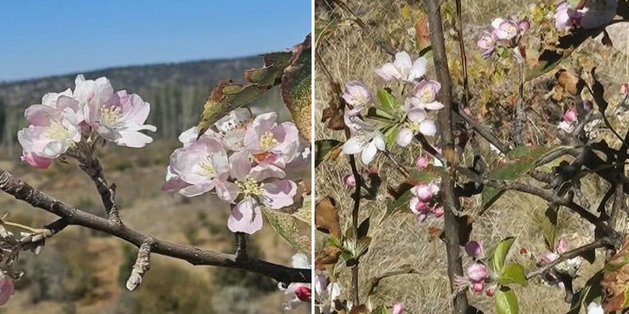 Konya’nın kar beklenen ilçesinde şaşırtan manzara