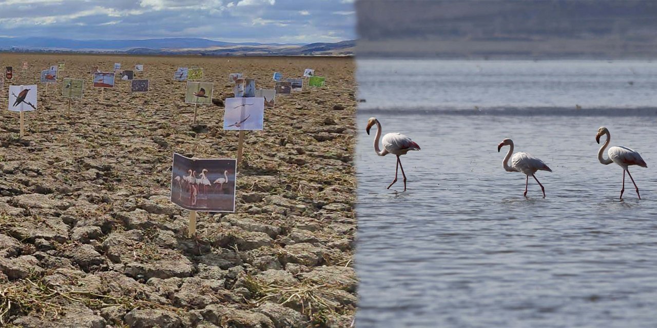 Bir zamanlar kuşların Konya’sıydı, şimdi sessizliğin adresi