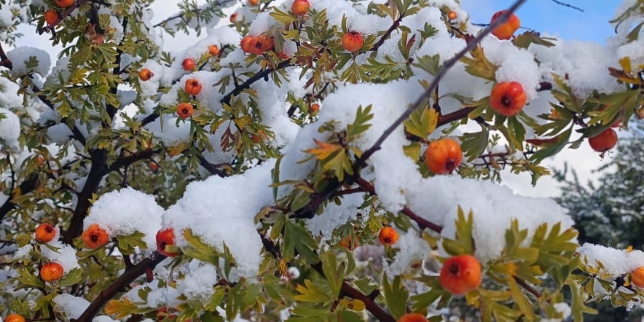 Konya’da erken kış! Dört bir yandan kar kareleri geliyor