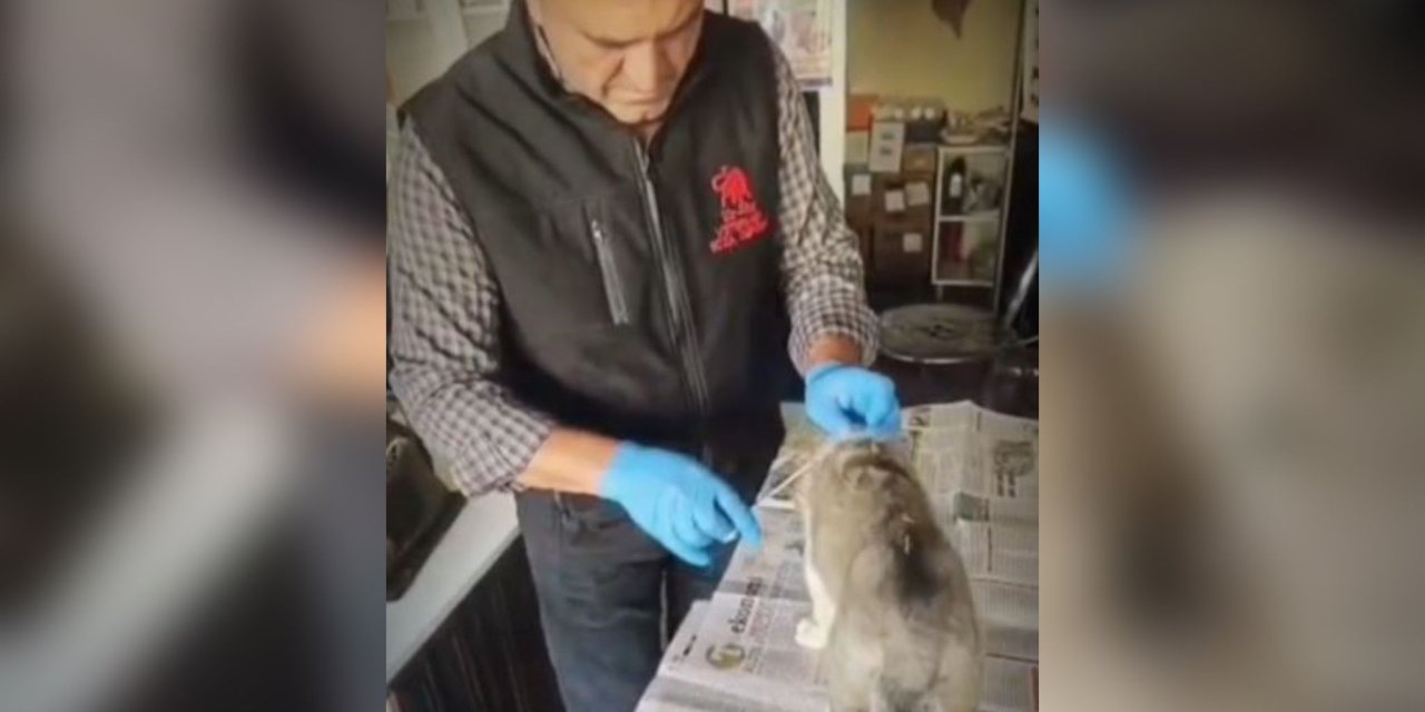 Konya’da yürek ısıtan olay! 20 km yol gitti, bir can kurtardı