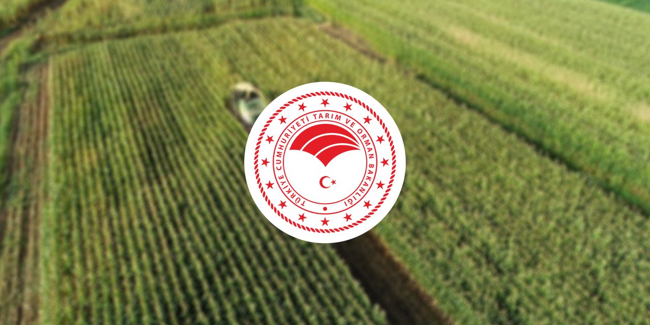 Tarım ve Orman Bakanlığı’ndan yeni fırsat! 200 kişiyi işe alacak