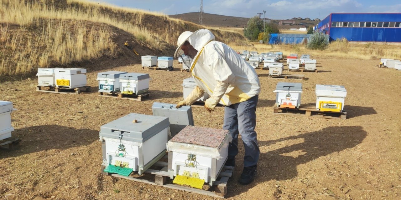 Çocukları cezbeden balın sırrı izole dağlar