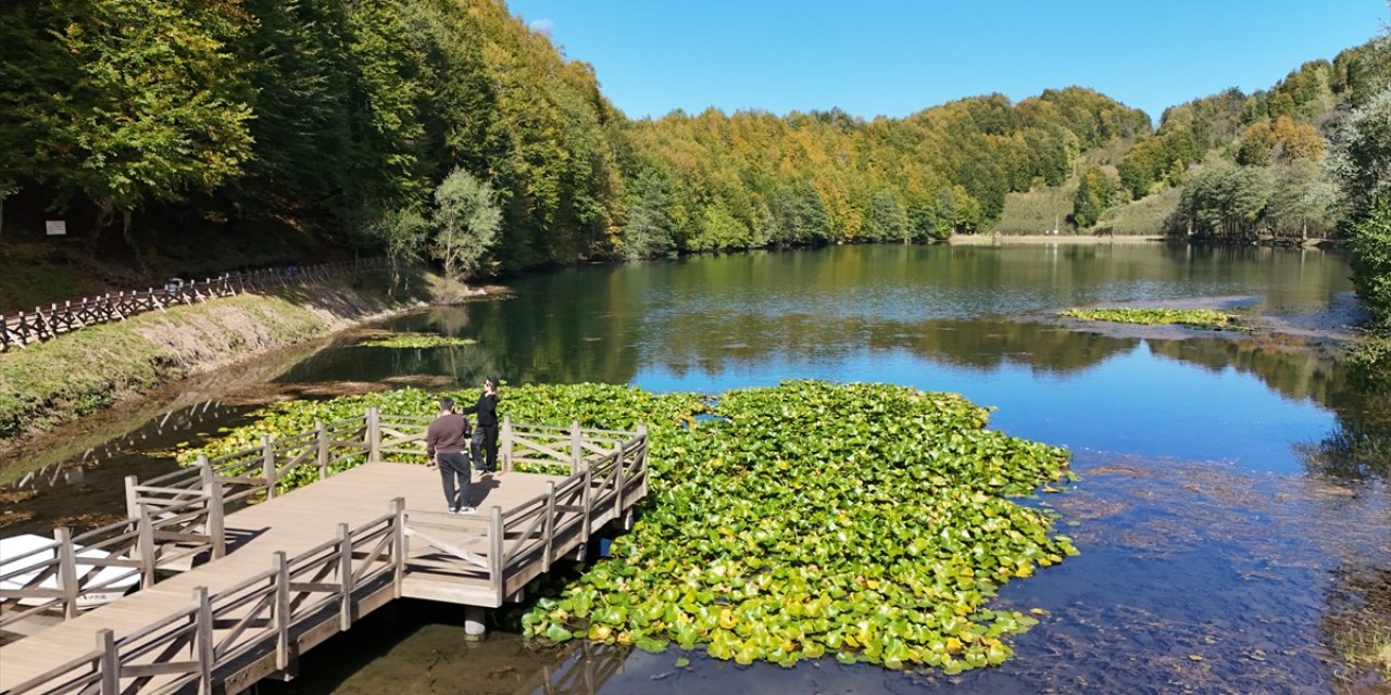 Sonbahar renkleriyle büyüleyen ünlü park rekora koşuyor