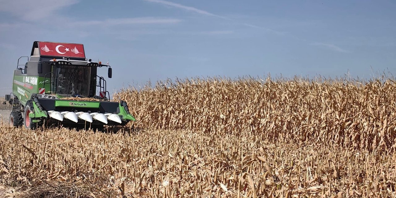 Konya’nın çok su tüketen ürününde tablo pek iç açıcı değil