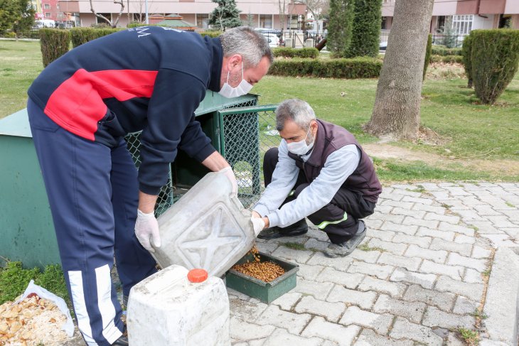 Meram Belediyesi sokak hayvanları için seferber oldu