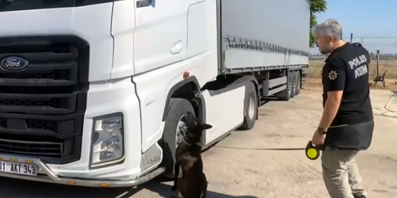 Arkadaşının ricasını kıramadı, TIR'ından 3 valiz skunk çıktı