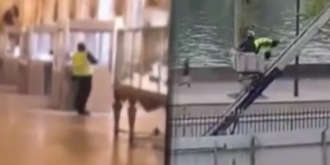 7 dakikada 88 milyon euroluk soygun! Hırsızlar müzeden böyle kaçmış