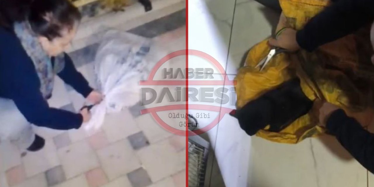 Yer Konya! Kediler çuvaldan çıktı, iddia vahim