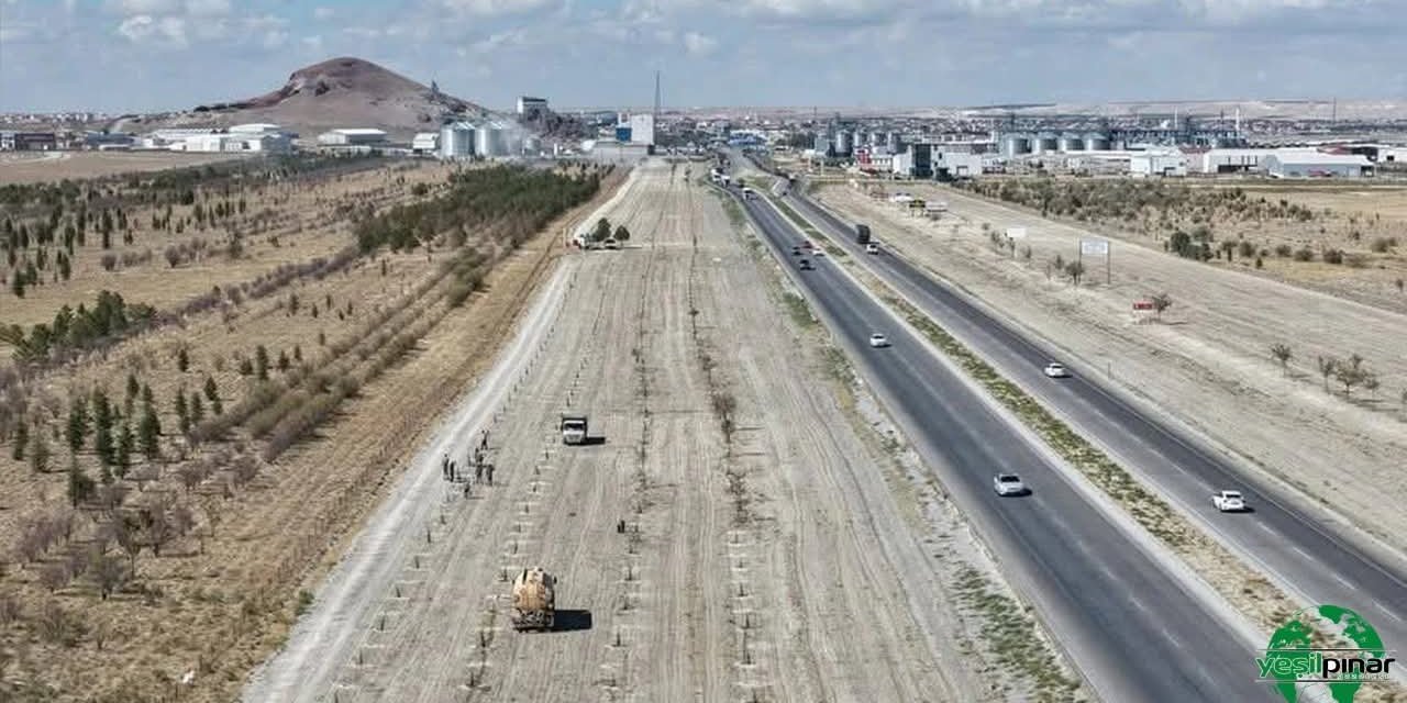 Konya’nın kurak ilçesinde yeşil atak! 6 bin can toprakla buluştu