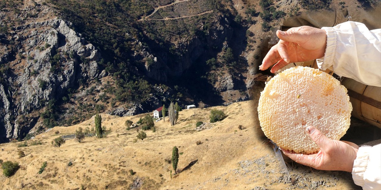 Terörün susturduğu köy, arılarla tekrar hayat buldu