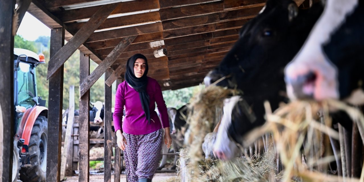 Devlet desteğiyle çiftlik kurdu