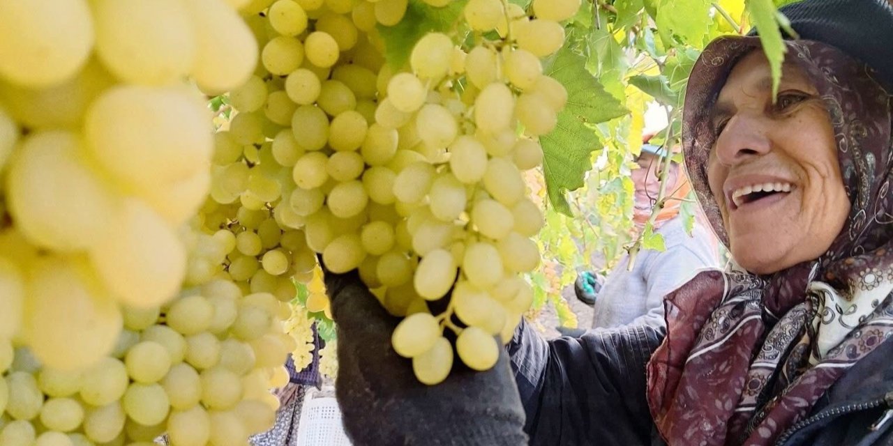 Ekim sonu geldi, üzüm bitmedi