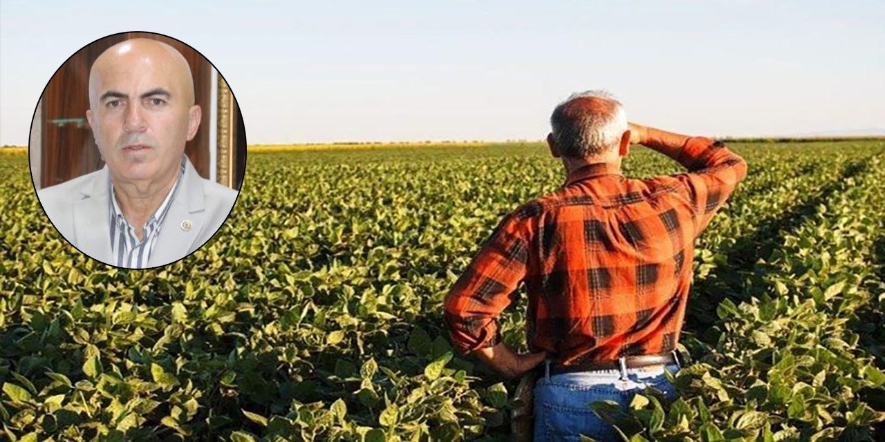 Ziraat Odası Başkanı Bayram: Zirai kredilerdeki yeni faiz oranları çiftçiyi ezer