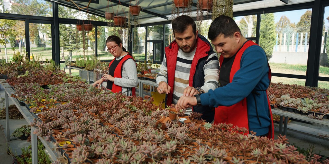 SOBE Vakfı, Konya’da başlattı! Her sukulent, eğitim ve istihdama dönüşüyor