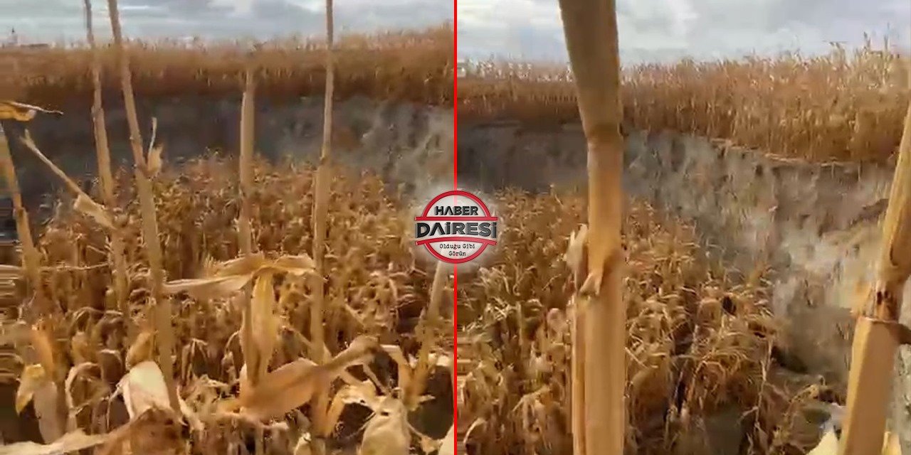 Konya’da hasat için tarlasına gelen çiftçi hayatının şokunu yaşadı