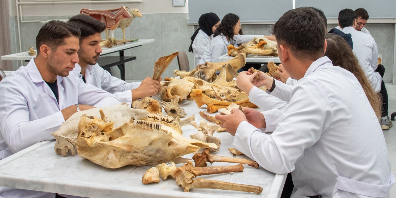 Konya Selçuk Üniversitesi Avrupa’da tescillendi