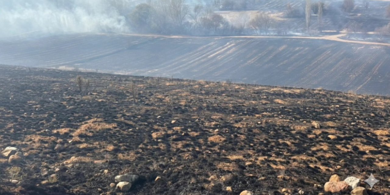 Konya’da arazide yangın çıktı, muhtar çevre mahallelerden de destek istedi