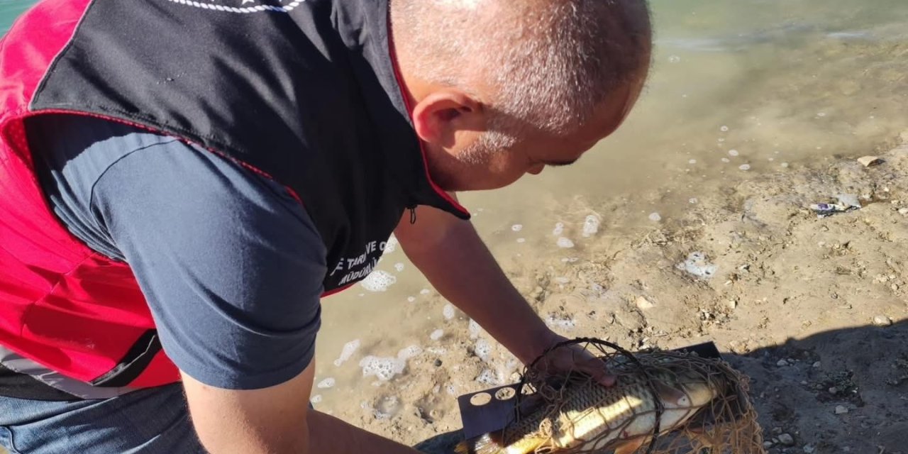 Konya’da amatör balıkçılara denetim
