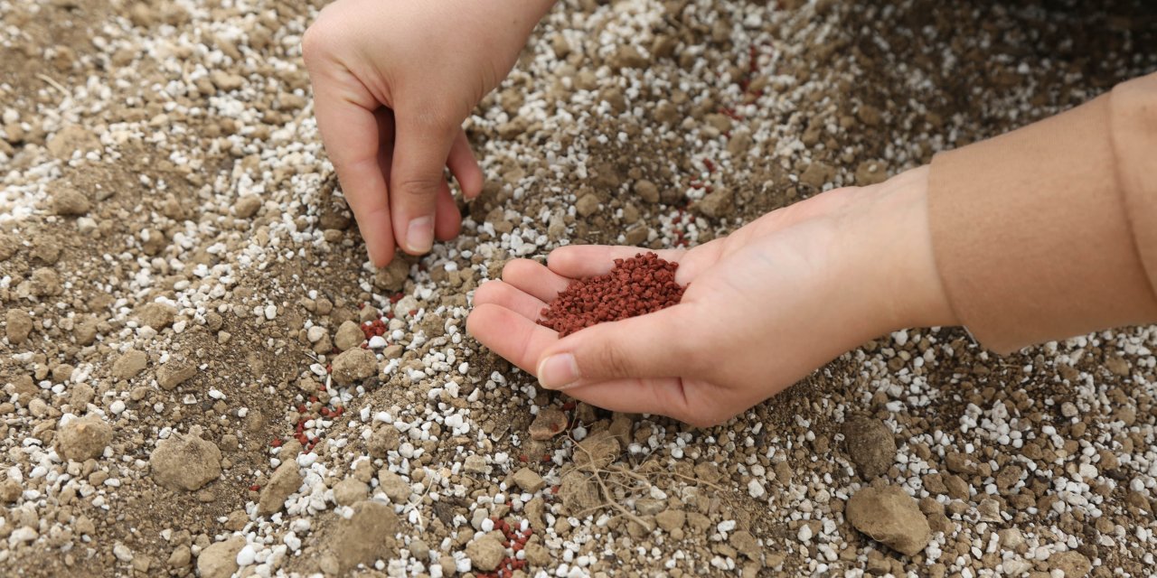 Konya Şeker’den dünya çapında başarı