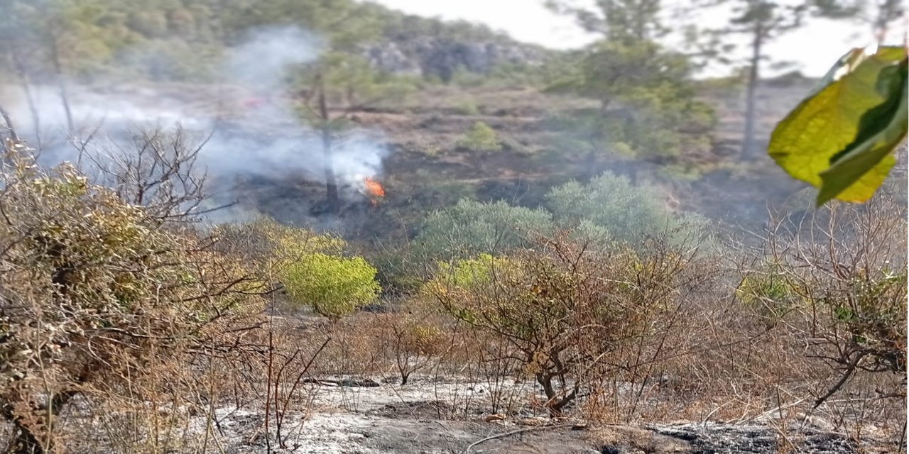 Kendi yaktığı ateşte can verdi