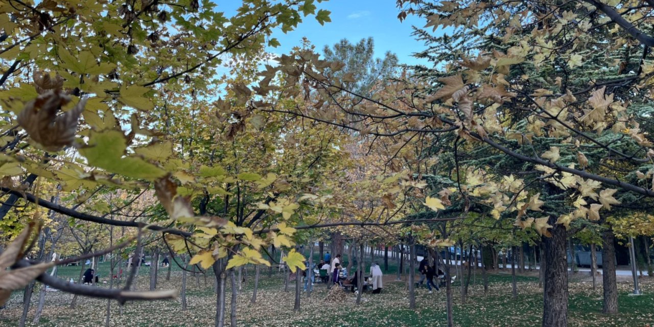 Konya sonbaharla renklendi