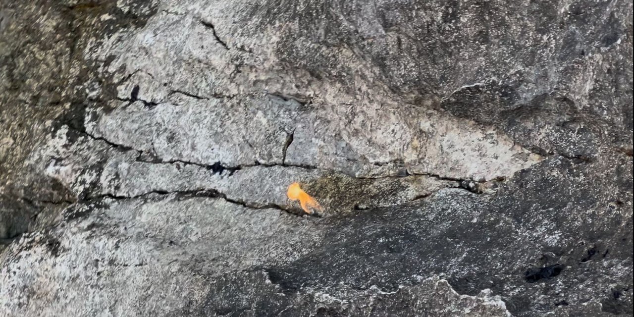 Kuruyan gölde şaşırtan olay! Kayalıklar alev aldı