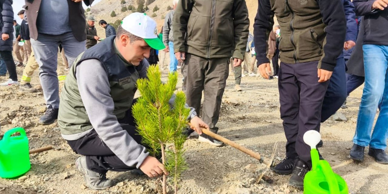 Konya’daki sağlıkçılar her hasta için 1 fidan dikti