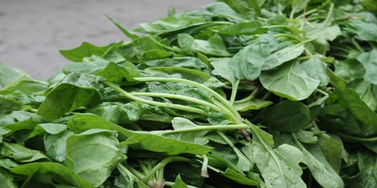 Ispanak zannettikleri ot ölüm saçtı! 11 kişilik aile zehirlendi