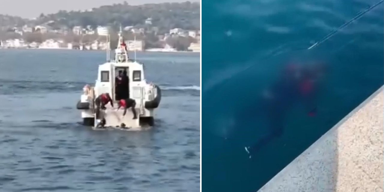 Dehşete düşüren olay! Balıkçıların oltasına ceset takıldı