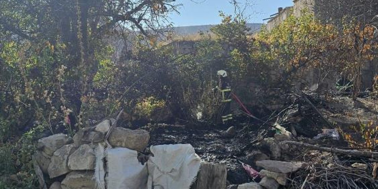 Bahçe temizliği yapmak istedi, feci şekilde can verdi