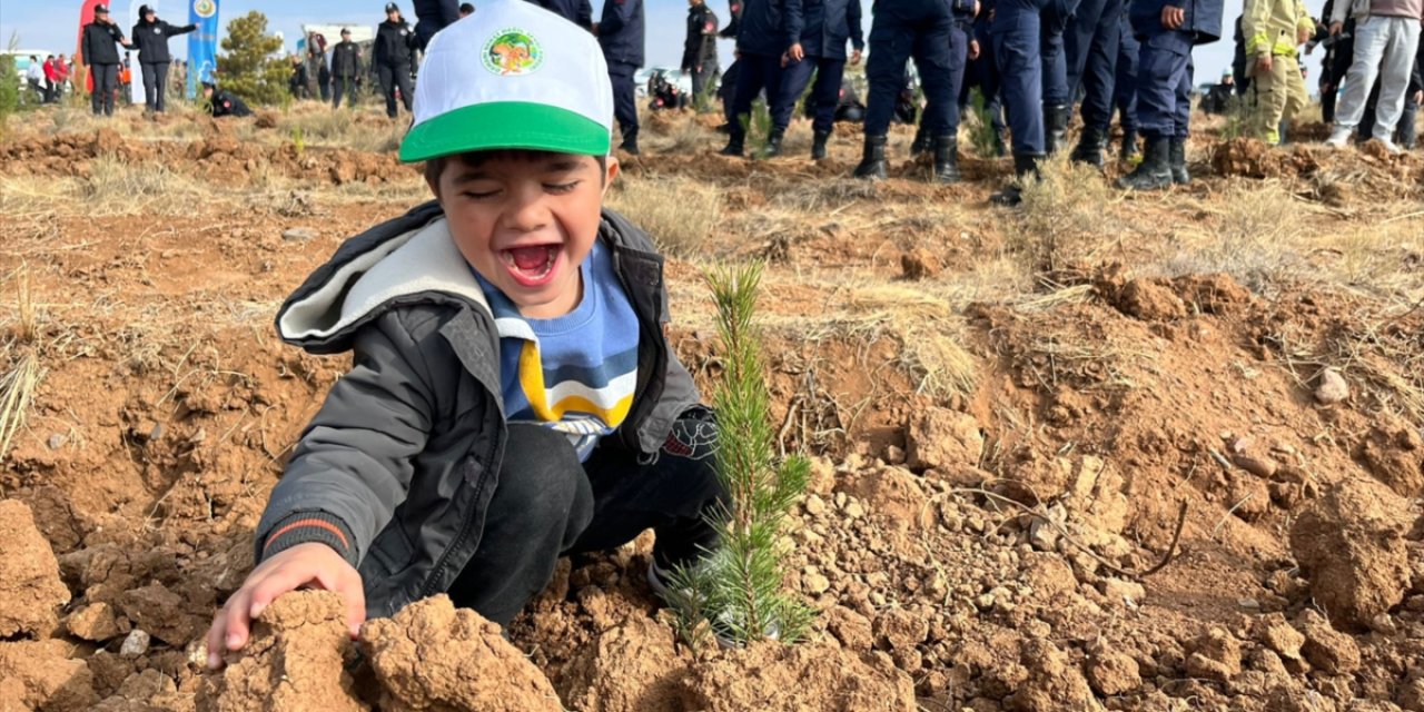 Konya’da şehitlerin hatırasına yeşil gelecek