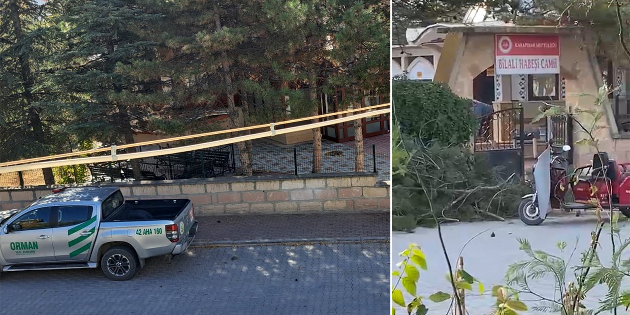 Konya’da cami avlusunda izinsiz ağaç kesimine para cezası