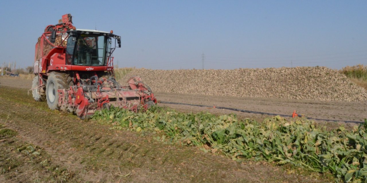 Çiftçinin beklentisi gerçek oldu
