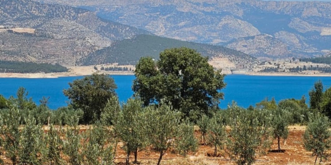 Konya Ovası'nın altın damlasında hile uyarısı