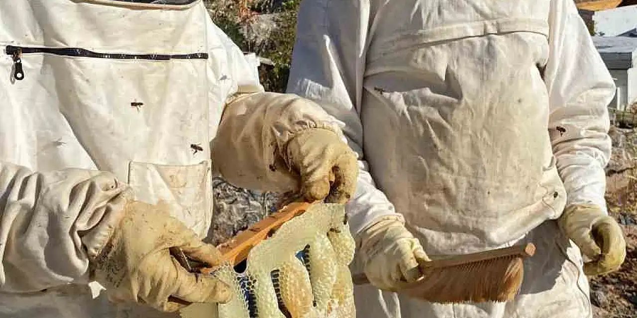 Konya Bozkır’ın ünlü balı kara listeye girdi