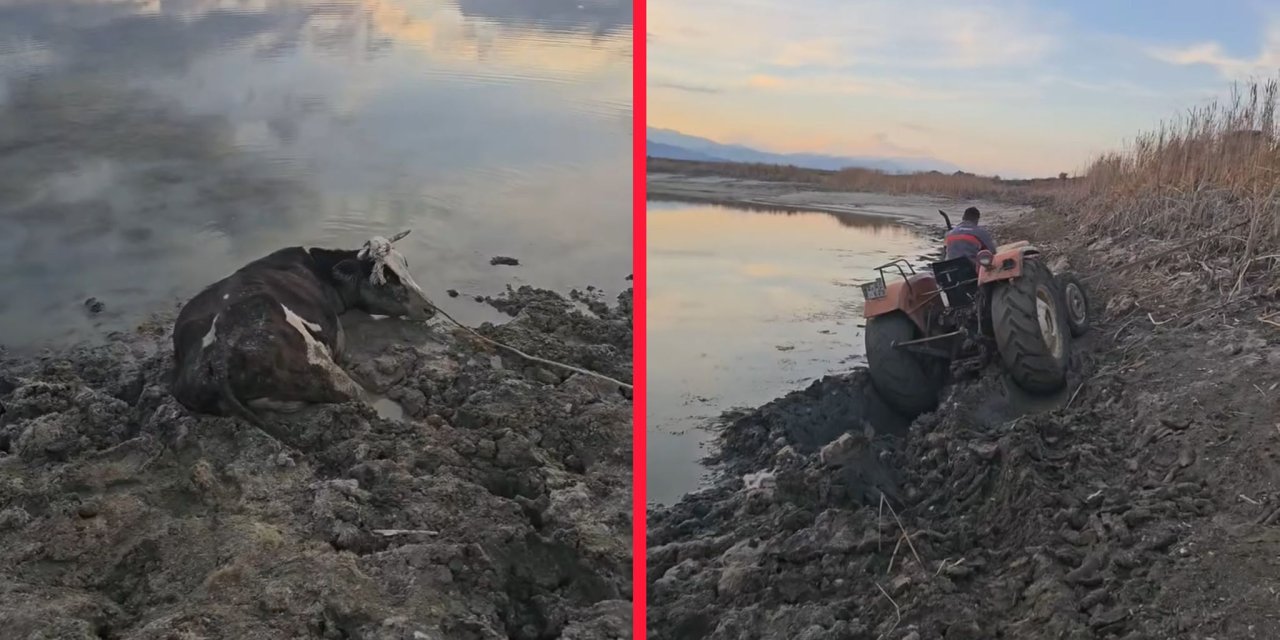 Konya’da bataklıkta ilginç kurtarma! Kurtarmaya giden de battı