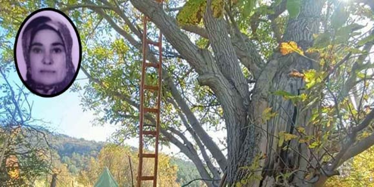 Bahçedeki ağaç sonu oldu! 56 yaşındaki kadının acı ölümü