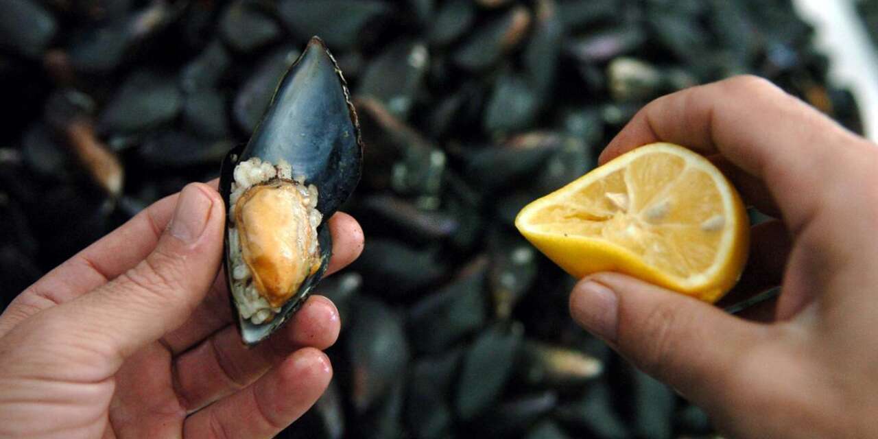 Uzman isimden zehirlenme vakaları sonrası uyarı! Hijyene dikkat