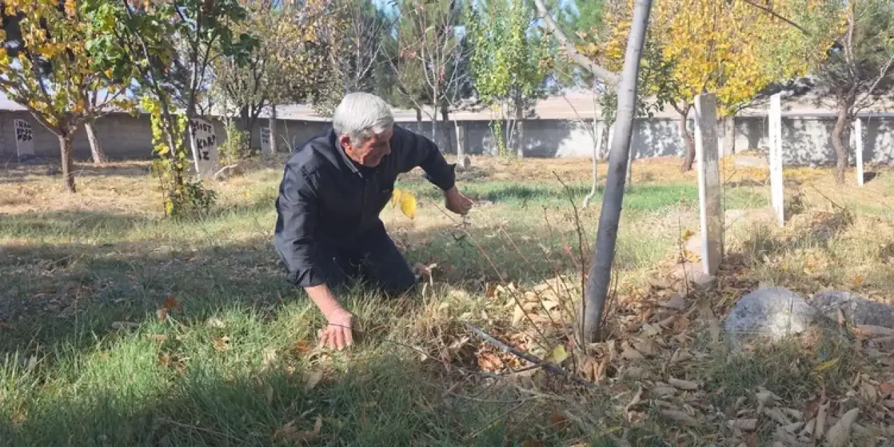 Konya’daki bu mezarda 40 bebek yatıyor! Cennet kuşları ona emanet