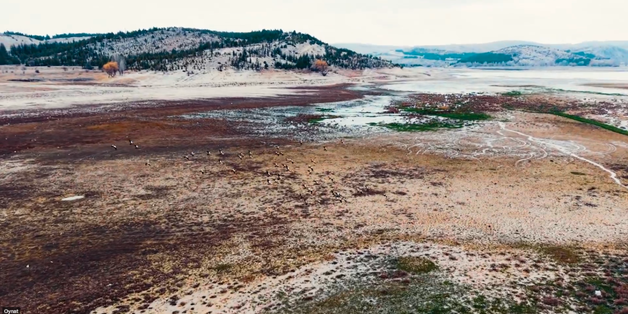 Konya alarm veriyor! Susuz günlere hazır olun