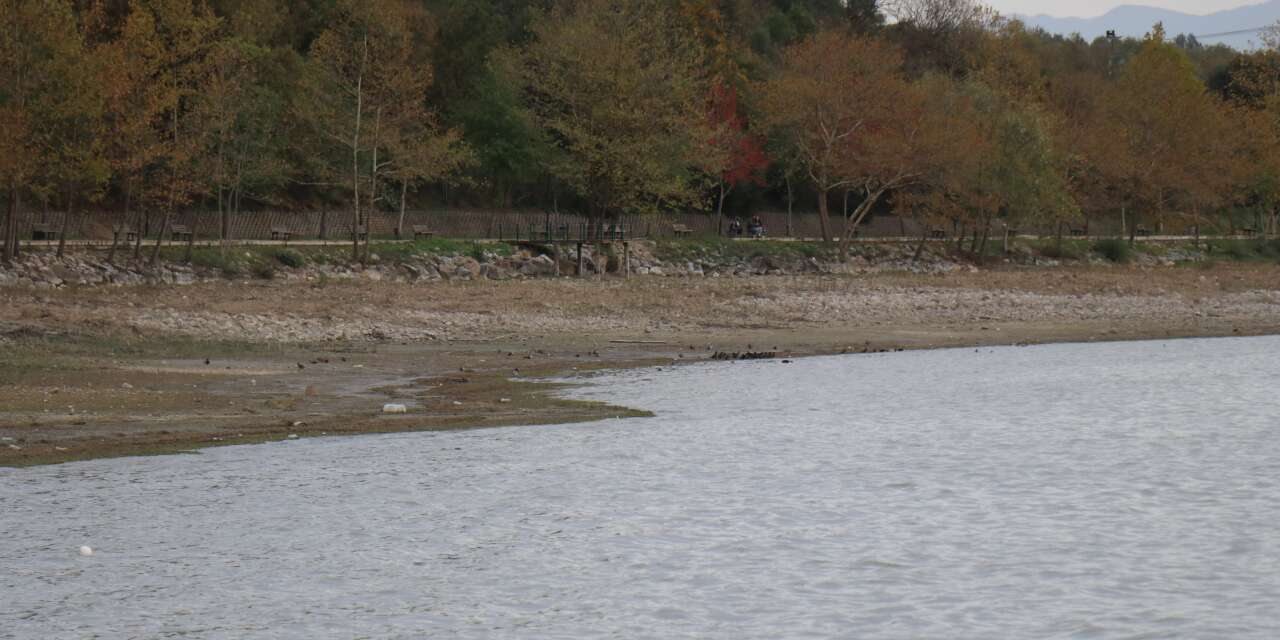 Gölde esrarengiz görüntü! Sebebi merak konusu oldu