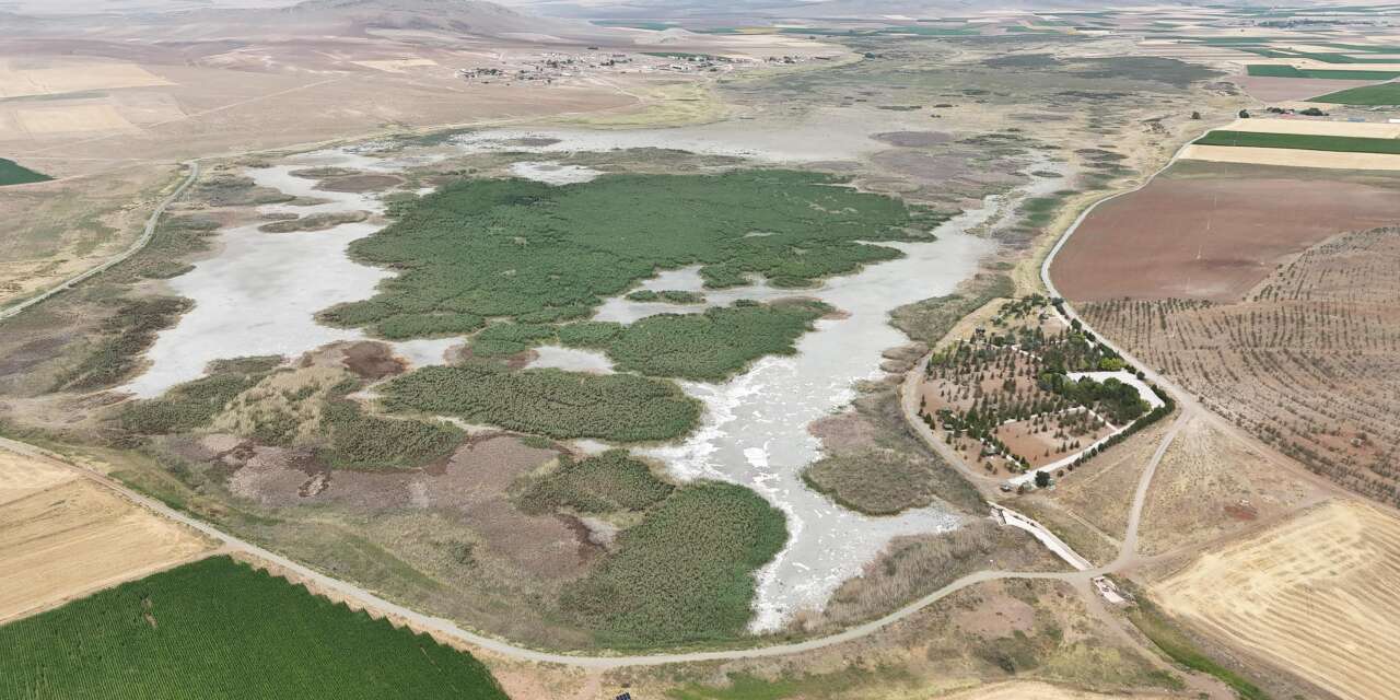 Konya’nın acı kaybı! Tamamen kaybettik