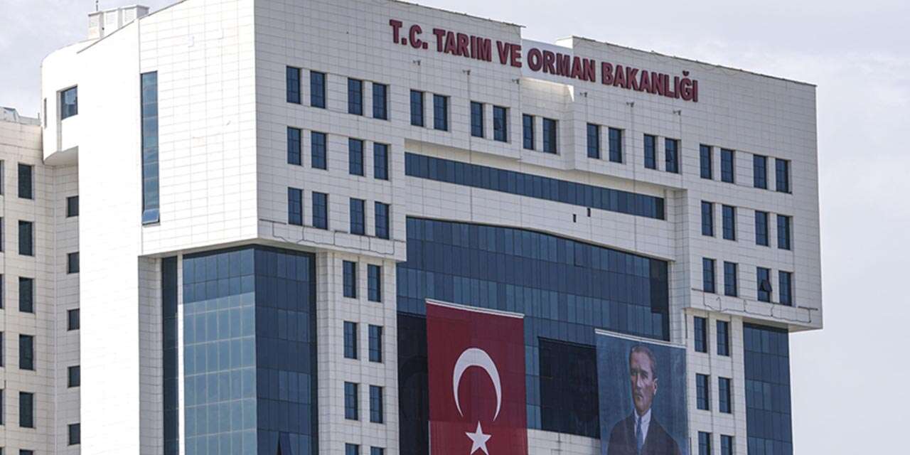 Orman Genel Müdürlüğü 496 kişi alacak! İşte şartlar